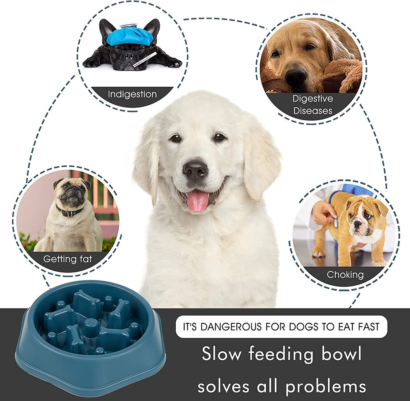 Slow Feeder Dog Bowl