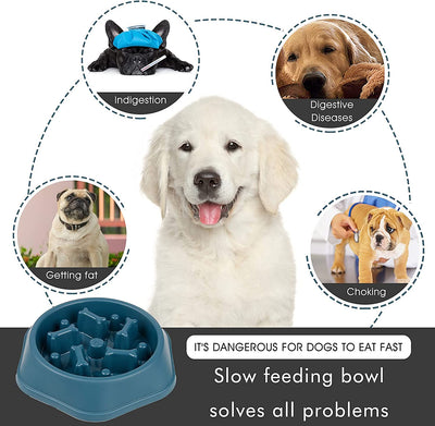 Slow Feeder Dog Bowl