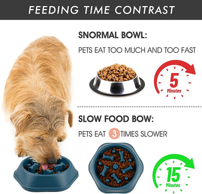 Slow Feeder Dog Bowl