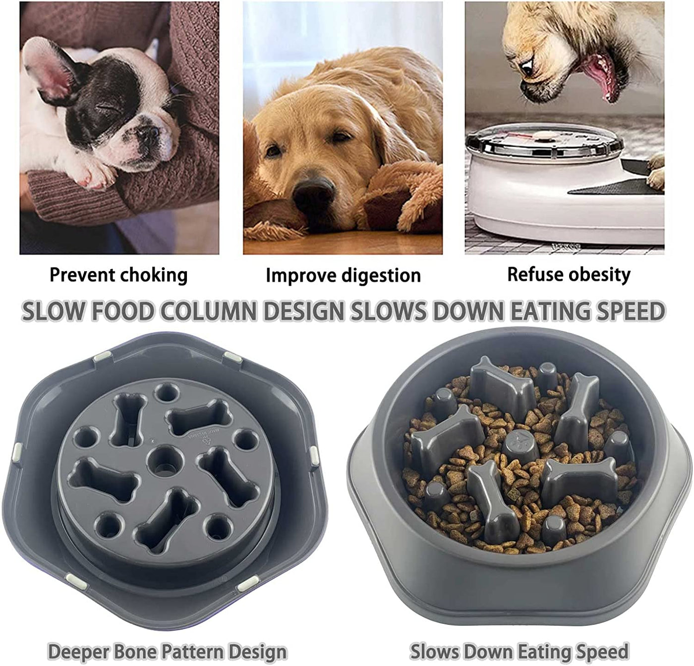 Slow Feeder Dog Bowl