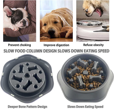 Slow Feeder Dog Bowl