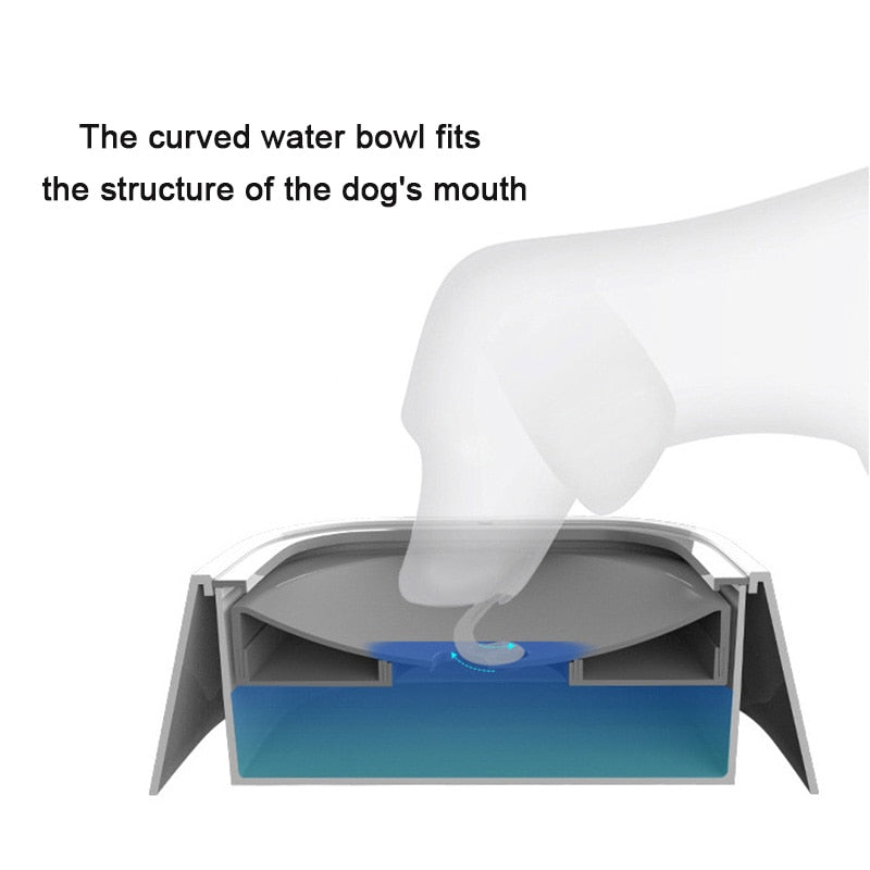 Water Dispenser Drinking Bowl